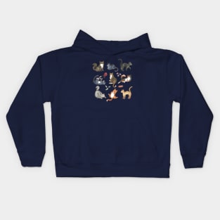 Kitties! Kids Hoodie